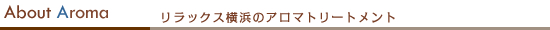 bNXl̃A}g[gg