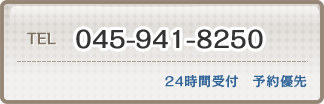 TELF045-941-8250@24ԎtE\D